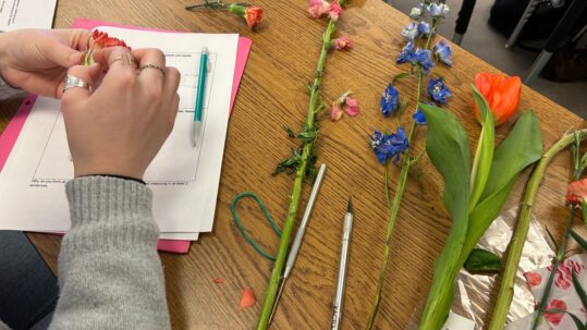 Close up of student dissecting flowers in Horticulture class on Valentine's Day.